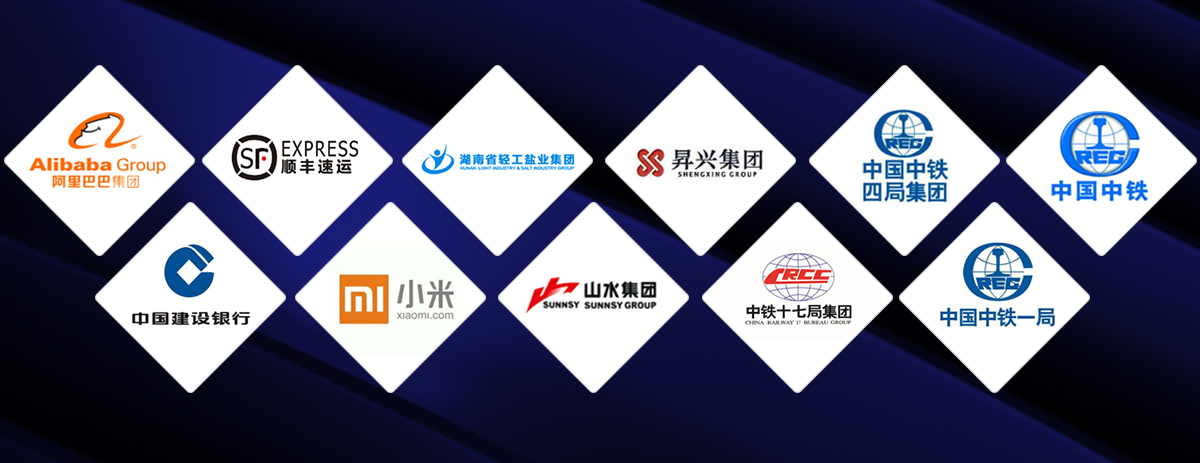 公司实力